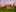 1676365866 Bloemendal Fase 3 Cam 6 V10 HQ